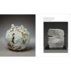 Studio Ceramics (Victoria and Albert Museum): British Studio Pottery 1900 to Now
