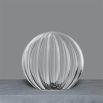 Round wall sconce with transparent glass shade with a gorgeous natural brushed brass finish