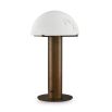 Illuminating elegance meets modern design with the Aston Table Lamp. Perfect for any space, it adds style and sophistication to your decor.