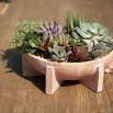 Rounded, bowl-shaped planter with six triangular legs