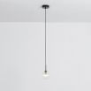 Textured clear glass globe pendant ceiling light with black brass fixture