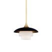 A luxurious black and ager brass pendant with opal acid etched lampshades