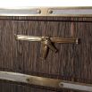 Sophisticated wooden chest with brass bow and leather details