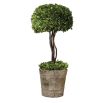 Boxwood faux tree potted in a mossy stone-finished terracotta planter 