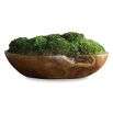 Artificial moss plant in teak wooden bowl