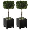Small artificial box tree with black container