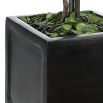 Small artificial box tree with black container