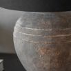 Fernhaven Table Lamp