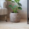 Fernhaven Planter - L