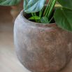 Fernhaven Planter - L
