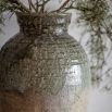 Rinta Pot