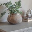 Fernhaven Handled Pot - S