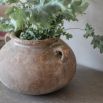 Fernhaven Handled Pot - S