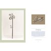 Chaumet Drawing from Nature