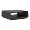 Discover the elegant Boxcar Coffee Table by Caracole. With a sleek dark finish, it adds modern sophistication to any living space. Perfectly crafted!
