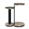 Discover elegance with Fritza Bunching End Tables by Caracole. Perfect for any space, these stylish tables blend functionality with modern design.