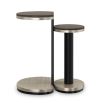 Discover elegance with Fritza Bunching End Tables by Caracole. Perfect for any space, these stylish tables blend functionality with modern design.