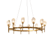 Celestara Chandelier