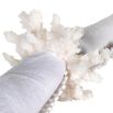Coral-inspired napkin ring in textured off-white colour