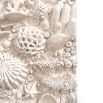 Coral Reef Wall Decoration 