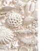 Coral Reef Wall Decoration