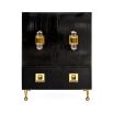 A luxurious, contemporary cabinet with glossy black lacquer and acrylic and brass accents 