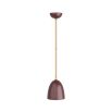 Burgandy coloured pendant light with brass accents