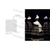 Christian Dior: Designer of Dreams