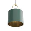 Green ceiling light with brass ring detail and suspension fixture