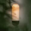 Sculpted wall sconce with a forest green fixture and a frosted glass shade