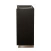 Sleek cabinet with two doors in dark antique brass finish