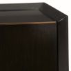 Sleek cabinet with two doors in dark antique brass finish