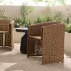 Iggy Outdoor Chair