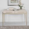 Sleek and elegant console table/desk with gentle brass accents