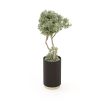 Elegant tall planted with dazzling gold base accent