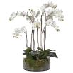 Artificial Orchids In Glass Pot