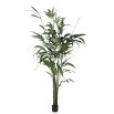 Bamboo Plant - Large