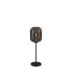 Contemporary matte black floor lamp with smoke glass