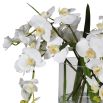 White orchid arrangement draped in a glass vase
