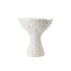 Elevate your decor with the elegant Caela Vase. Perfect for showcasing flowers or as a stunning standalone piece. Transform your space today!