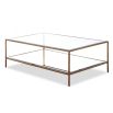 Antiqued brass metal frame coffee table with antique mirror surface