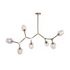 Orbital Pendant Lamp - Matte Black/Clear