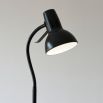 Tall black floor lamp