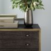 Captivating chest of drawers with brass accents and five spacious drawers