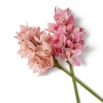 Real Touch Bouquet of Cymbidium Orchids - 36 pcs - Pink/Peach