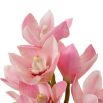 Real Touch Bouquet of Cymbidium Orchids - 36 pcs - Pink/Peach