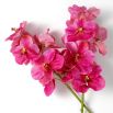 Real Touch Bouquet of Vanda Orchids - 24 pcs - Pink