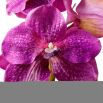 Real Touch Bouquet of Vanda Orchids - 24 pcs - Fuschia