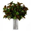 Bundle of Magnolia Leaves - 24 pcs - Green & Brown