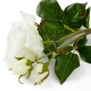 Real Touch Bouquet of Roses - 72 pcs - White